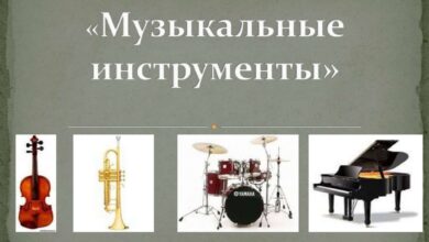 Photo of Редкие музыкальные инструменты коллекции